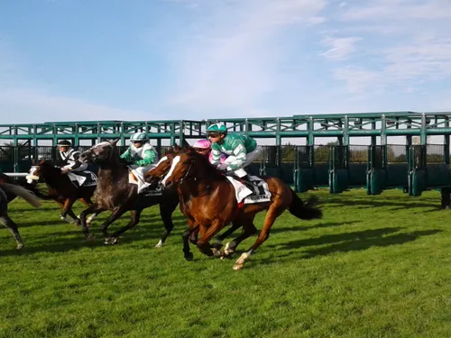 Hippisme : nos préférés pour ce samedi 11 février